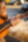 IMG_3428.jpeg
