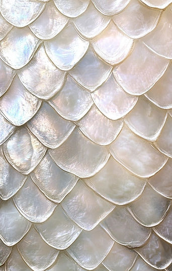 Visuel représentant l'Extension de coaching proposé par Aurore Papineau