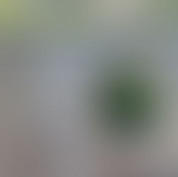 How to Reserve Books at Taipei Public Library: A Step-by-Step Guide