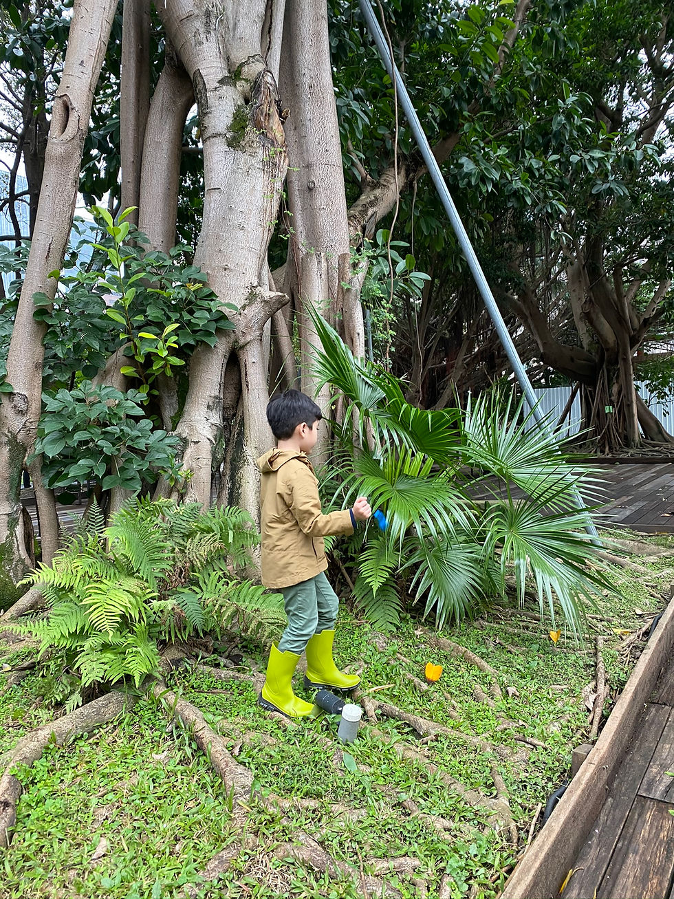 The outdoor area is great for exploring!