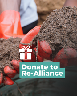 Donate to Re-Alliance