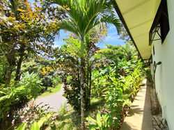 Real estate Montezuma Costa Rica