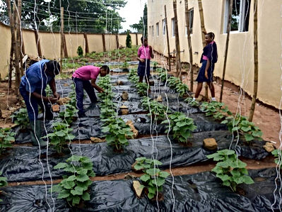 agric far