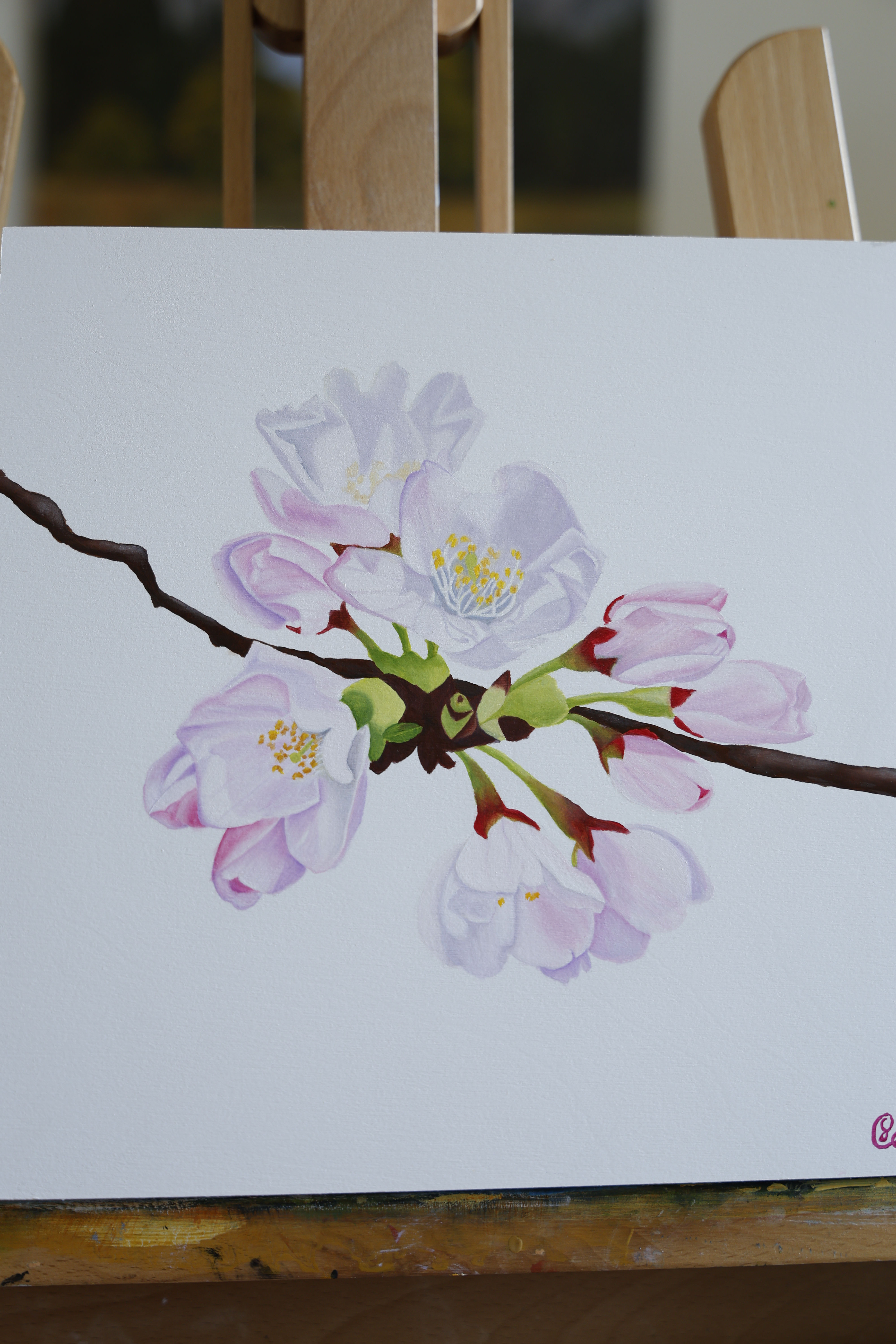 The Smile of Spring