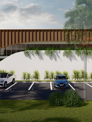 Paradise Commercial Project