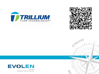 TRILLIUM FLOW TECHNOLOGIES France SAS.png