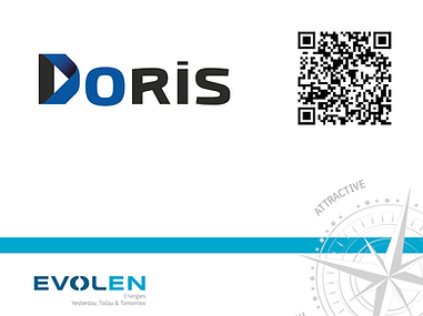 DORIS GROUP.png