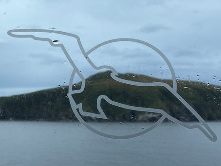 Kap Hoorn & Feuerland /Chile