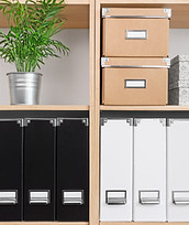 Shelves with storage boxes, black and white folders, and green plant