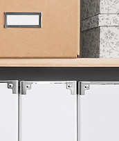 Shelves with storage boxes, black and white folders, and green plant