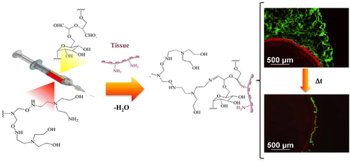 Langmuir-TOC.gif