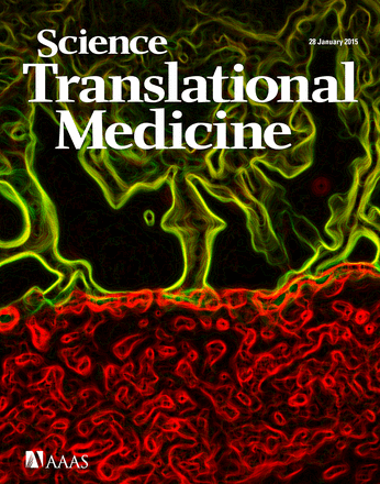 STM cover.gif