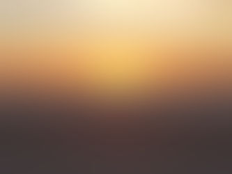 SC Sea Turtle Nesting Season Begins Today!