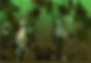 10956377_10153012902734593_781101541_o_edited.jpg