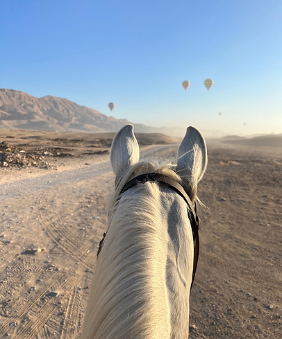 Horse Riding holiday - Desert Dreams Luxor