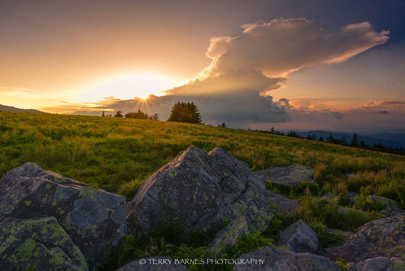 A Bald Sunset by Terry Barnes Photography