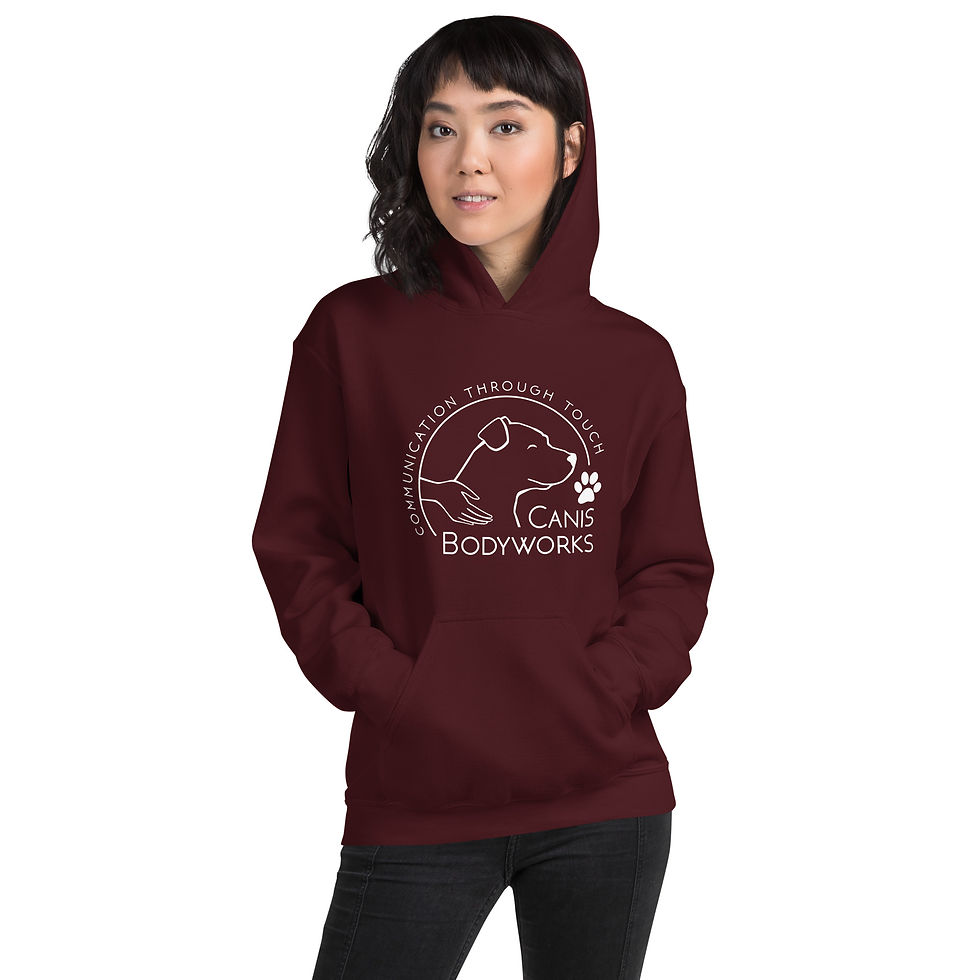 Thumbnail: White Logo Unisex Hoodie