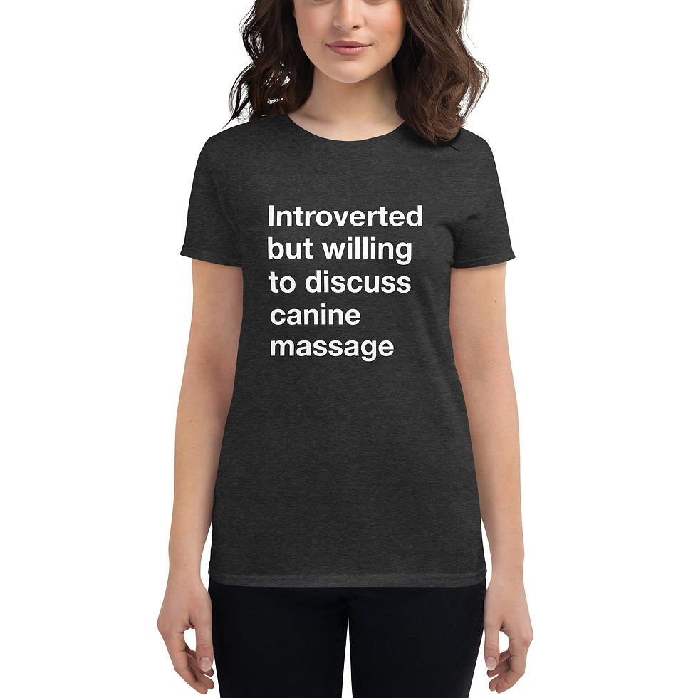 Thumbnail: Introvert Women's short sleeve t-shirt