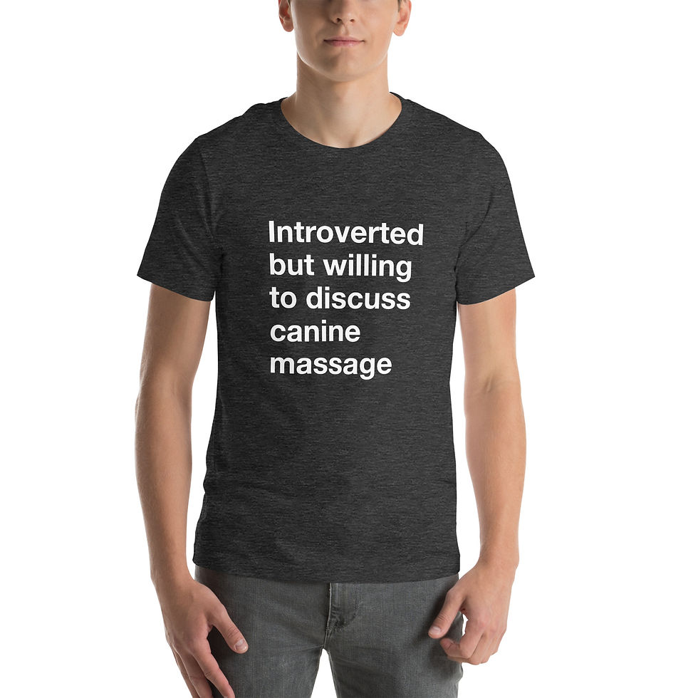 Thumbnail: Introvert Unisex t-shirt
