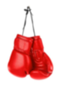 Northern Virginia Civil and Criminal Appeals