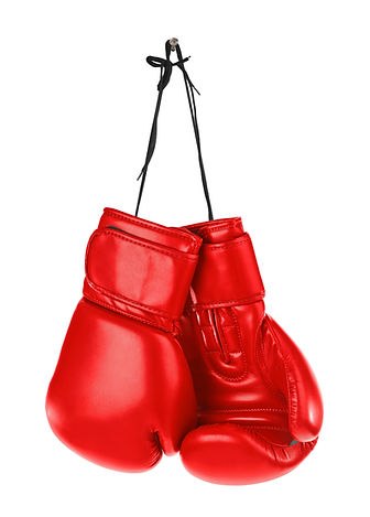 Northern Virginia Civil and Criminal Appeals