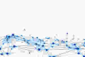 Cyber + Co., A periodic review of cybersecurity issues relevant to small businesses