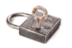 Northern Virginia Data Privacy Litigation
