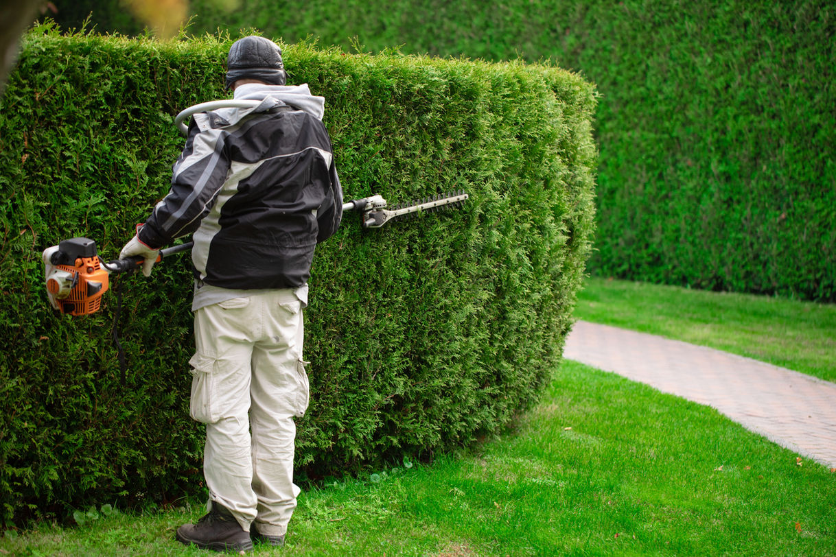 Hedging and Strimming.