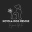 Writer: Ho'Ola Dog Rescue