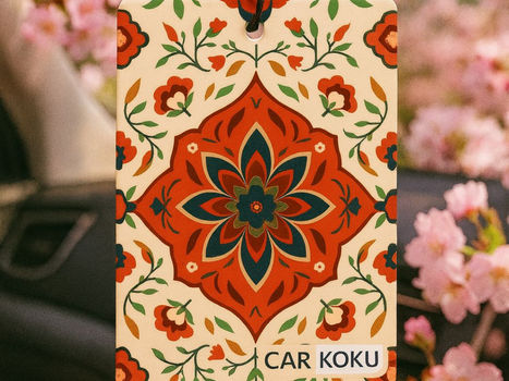 Bolu Promosyon Oto Kokusu