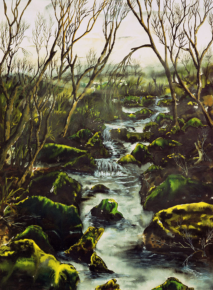 Swamped_Huckleberry HartstownPA