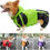 Thumbnail: 2023 Corgi Dog Clothes Jumpsuit Waterproof Clothing Pembroke Welsh Corgi Dog Rai