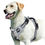Thumbnail: No Pull Dog Harness, Adjustable Soft Padded Pet Vest with Easy Control Handle