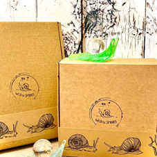 SnailPal