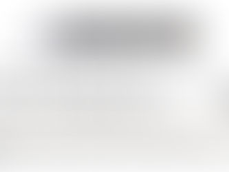 Olefini LEH-22 Endüstriyel Tip Isıtıcılı Hava Perdesi