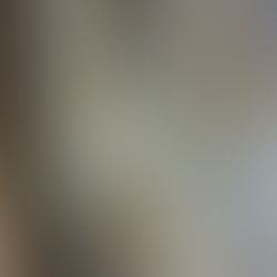 12 menschliche Jahre für ein Hundejahr