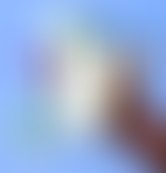 Final de ano: como usar o WhatsApp para trazer mais clientes para a loja