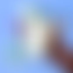 Final de ano: como usar o WhatsApp para trazer mais clientes para a loja