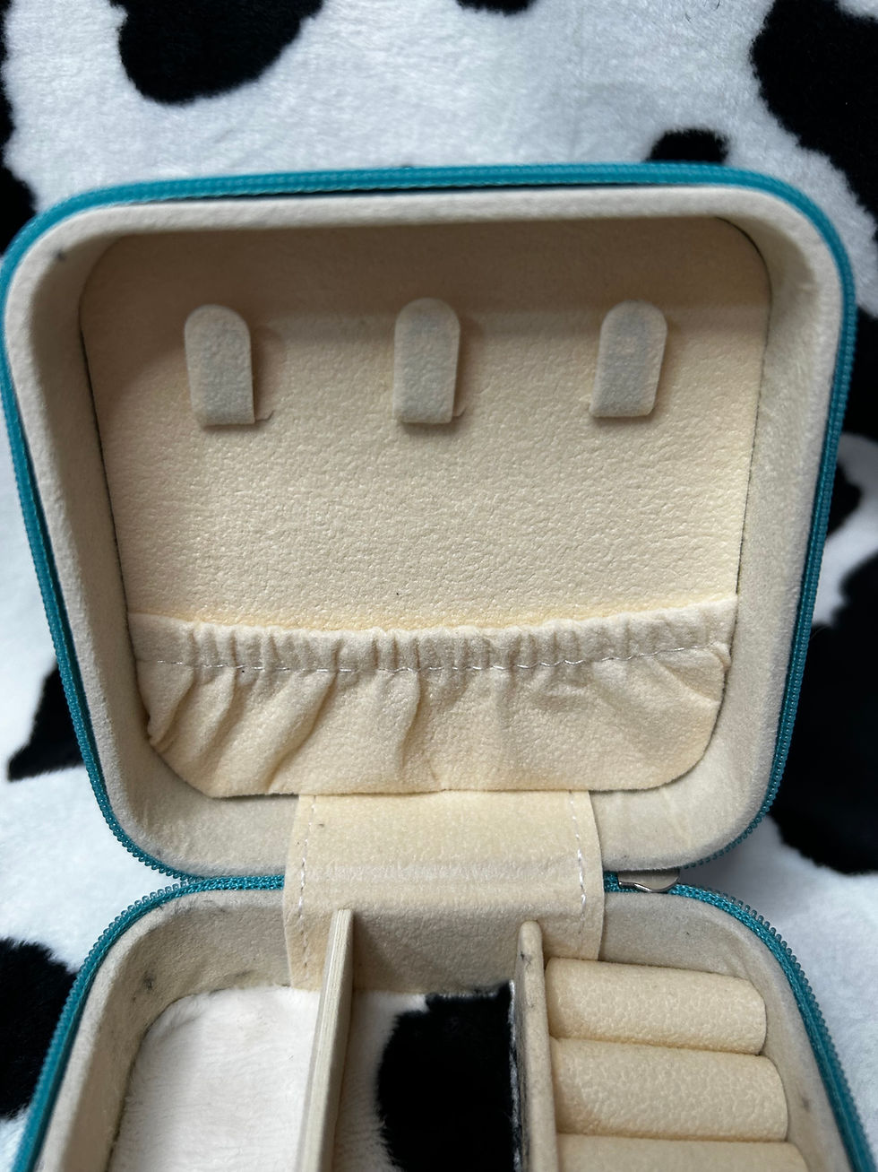 Thumbnail: Western Travel Jewelry Box