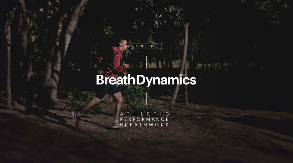 Breath Dynamics – Online Course