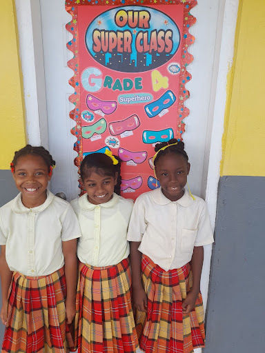 Joyce Samuel Primary marice ecosystem.jpeg