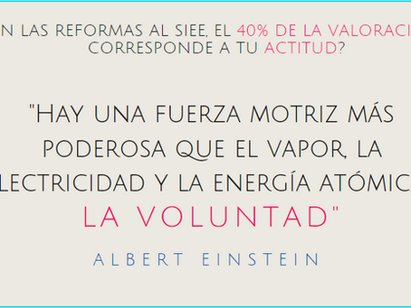 Nivelaciones y Autoevaluaciones