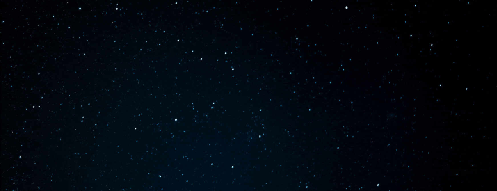 Untitled design-3.gif