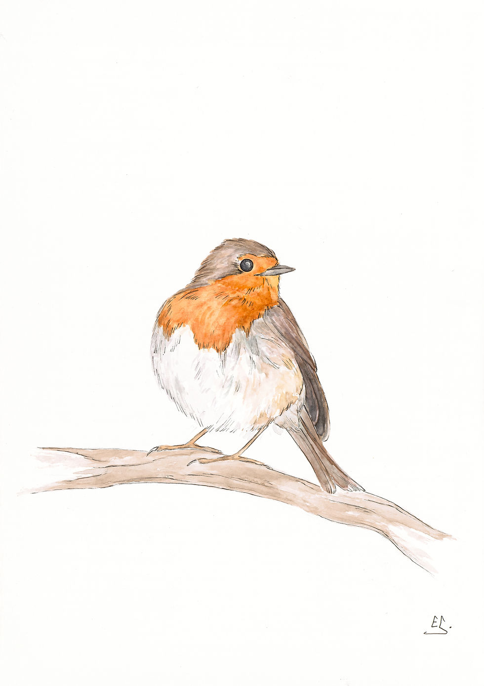 Thumbnail: BRITISH BIRDS greetings cards (set of 6)