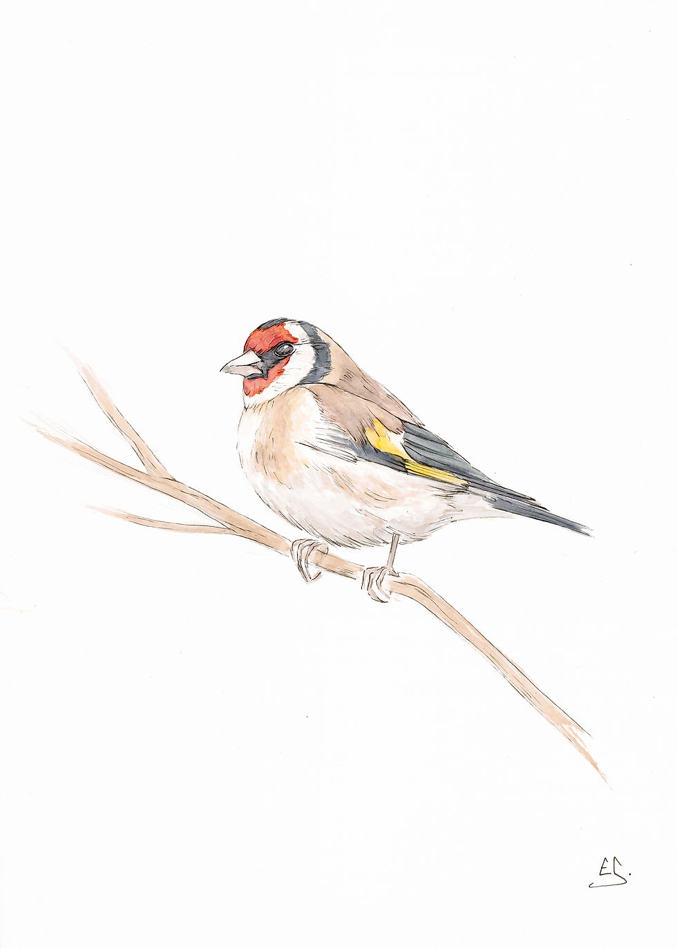 Thumbnail: BRITISH BIRDS greetings cards (set of 6)
