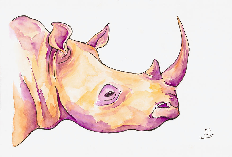 Thumbnail: BORANA animal postcards (set of 6)