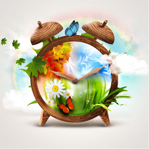 Honoring Life & Love in Every Season