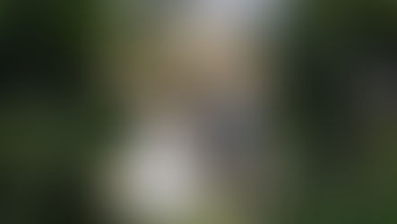 Forbes of Kingennie Wedding Photography – Lisa & Ben