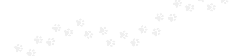 360_F_214587654_uJAE5LyLNzGIN8tstgRt1XHg