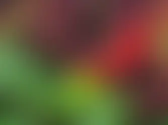 Can I Compost Moldy Fruit? A Complete Guide